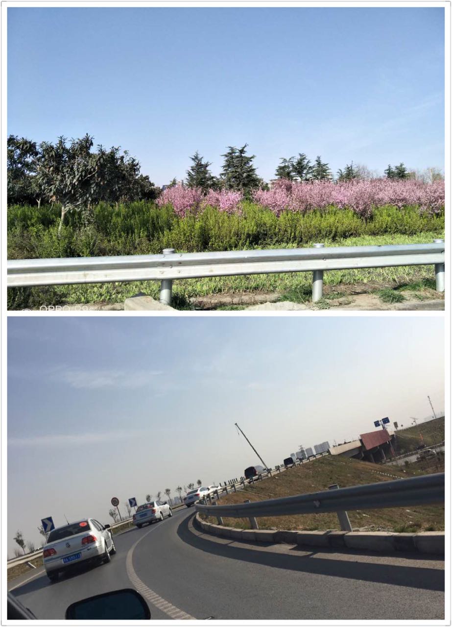 1490574491325023839.jpg 2.jpg