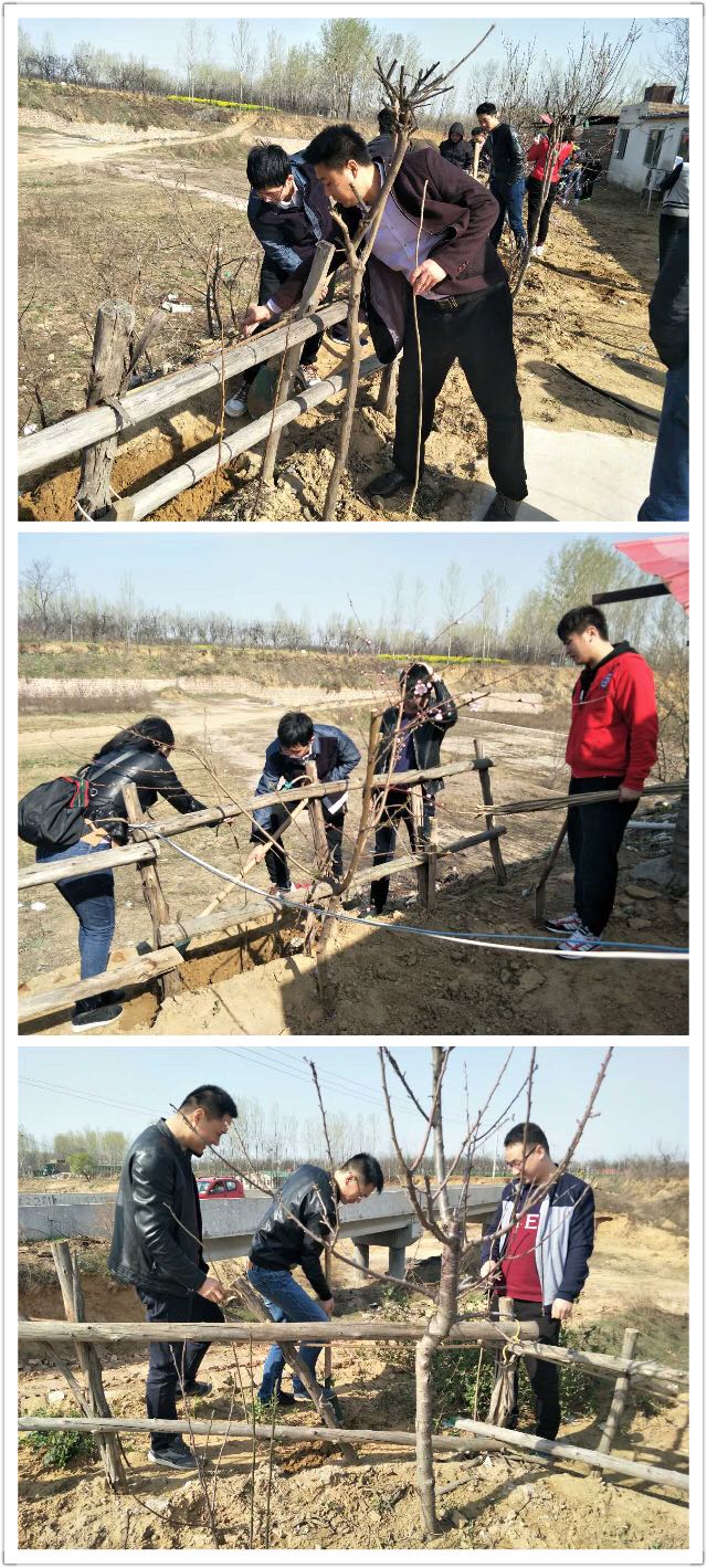 1490574506184060297.jpg 3.jpg