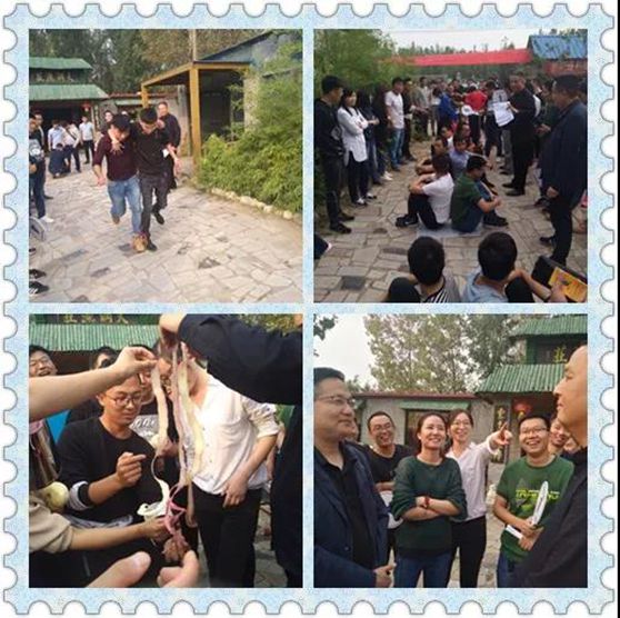 1539138422399010135.jpg 10.jpg